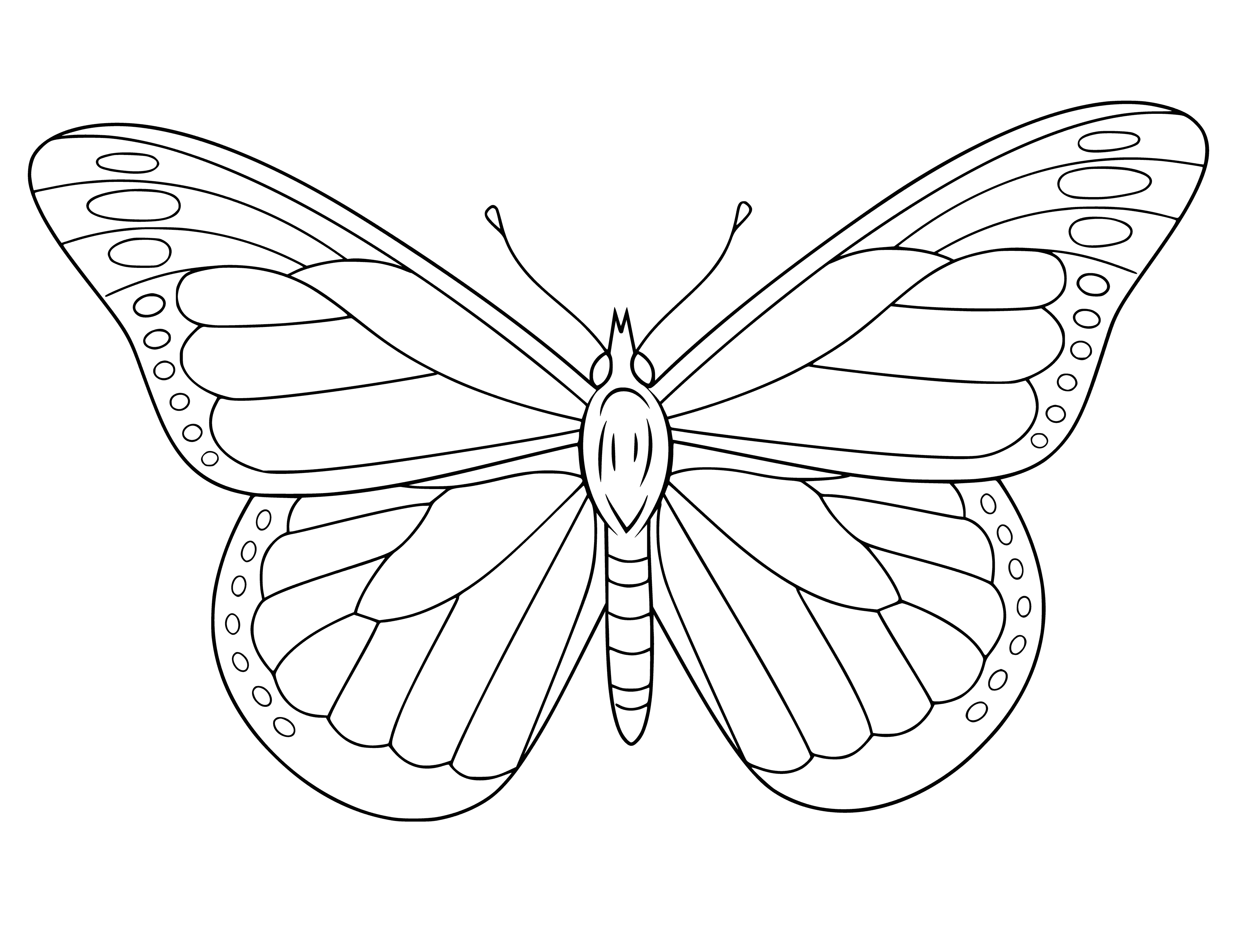 coloring page: Coloring with the image of a symmetrical butterfly in a contour pattern