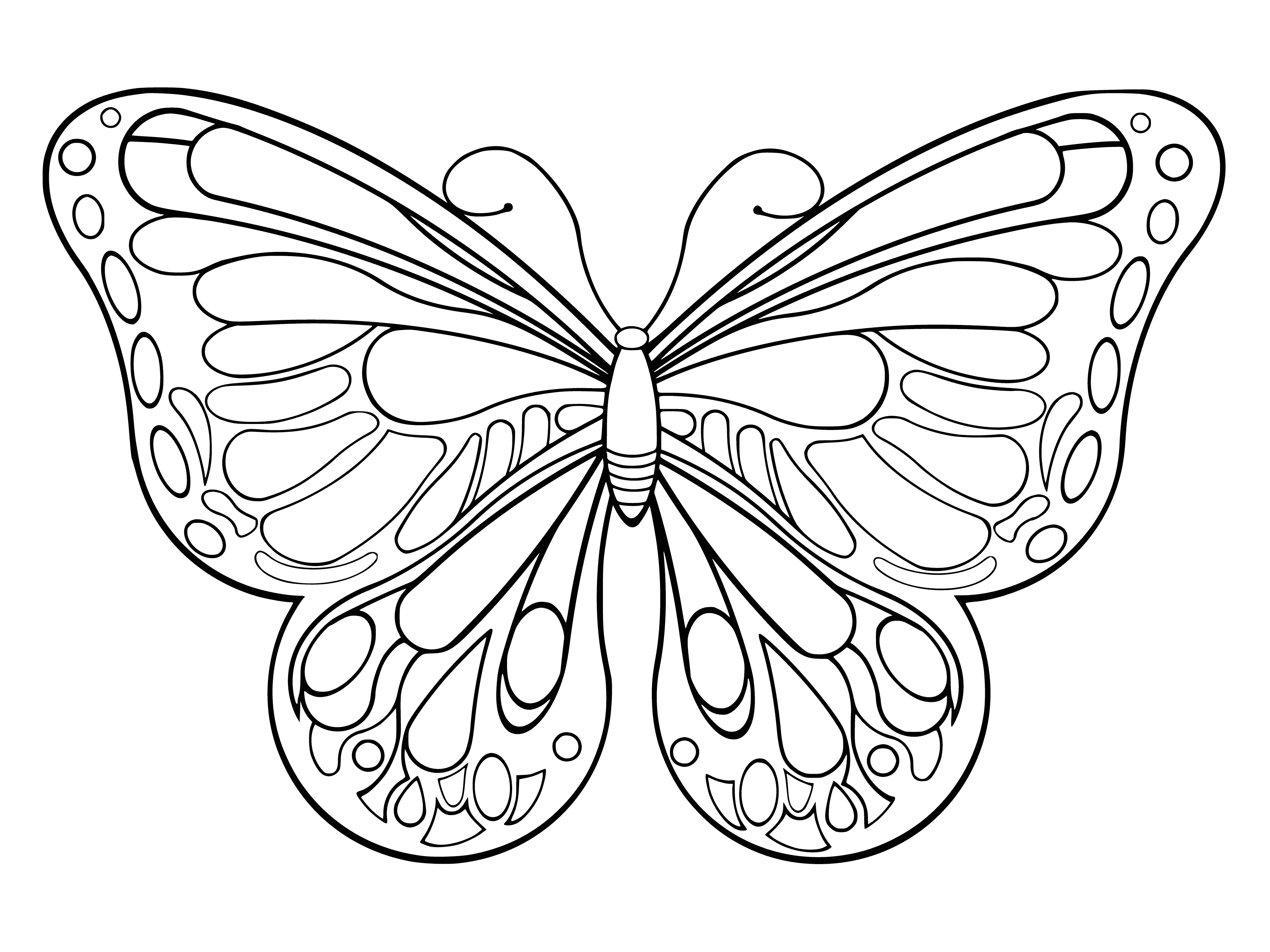 coloring page: Black and white coloring butterfly for painting