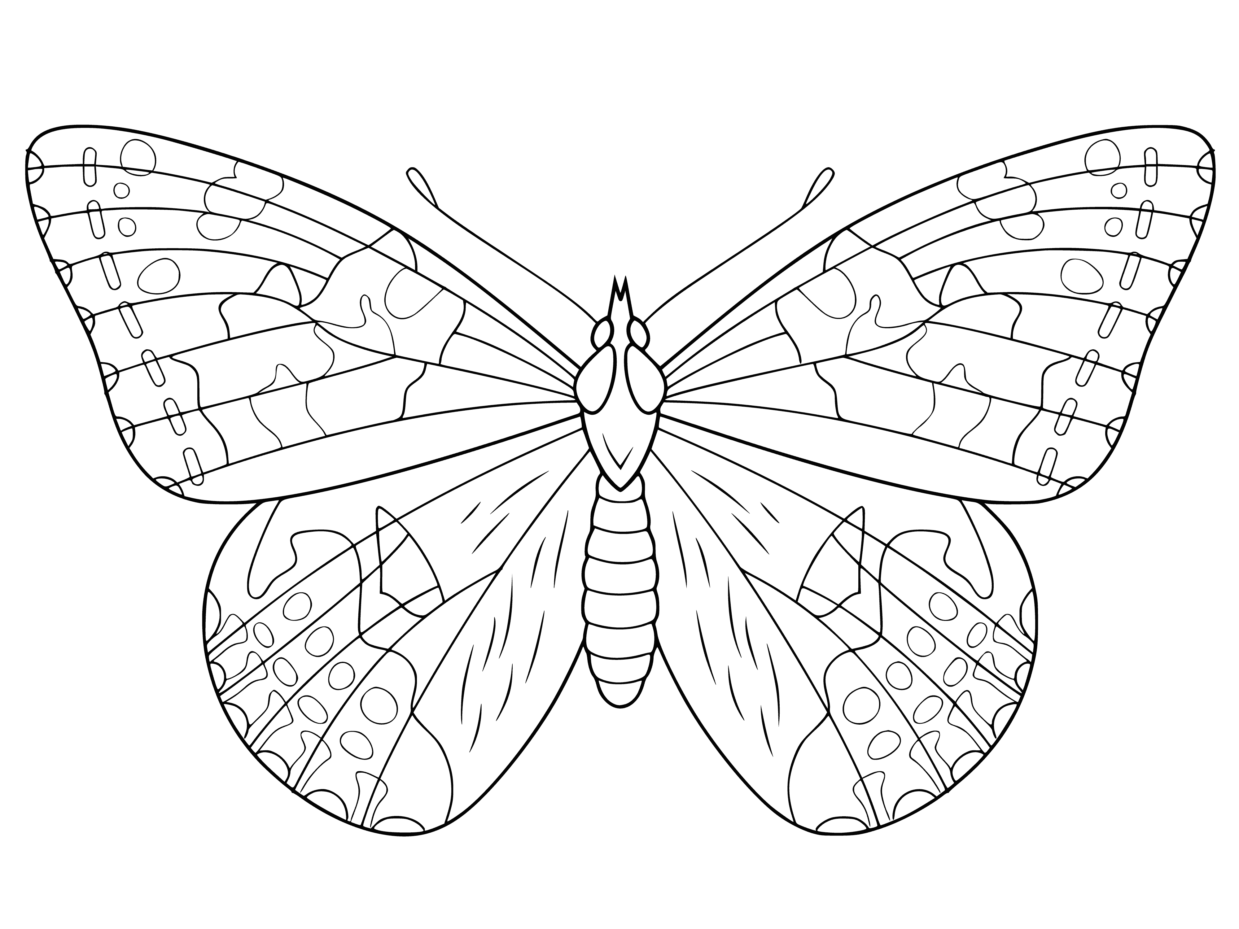 coloring page: Black and white coloring of butterflies for children