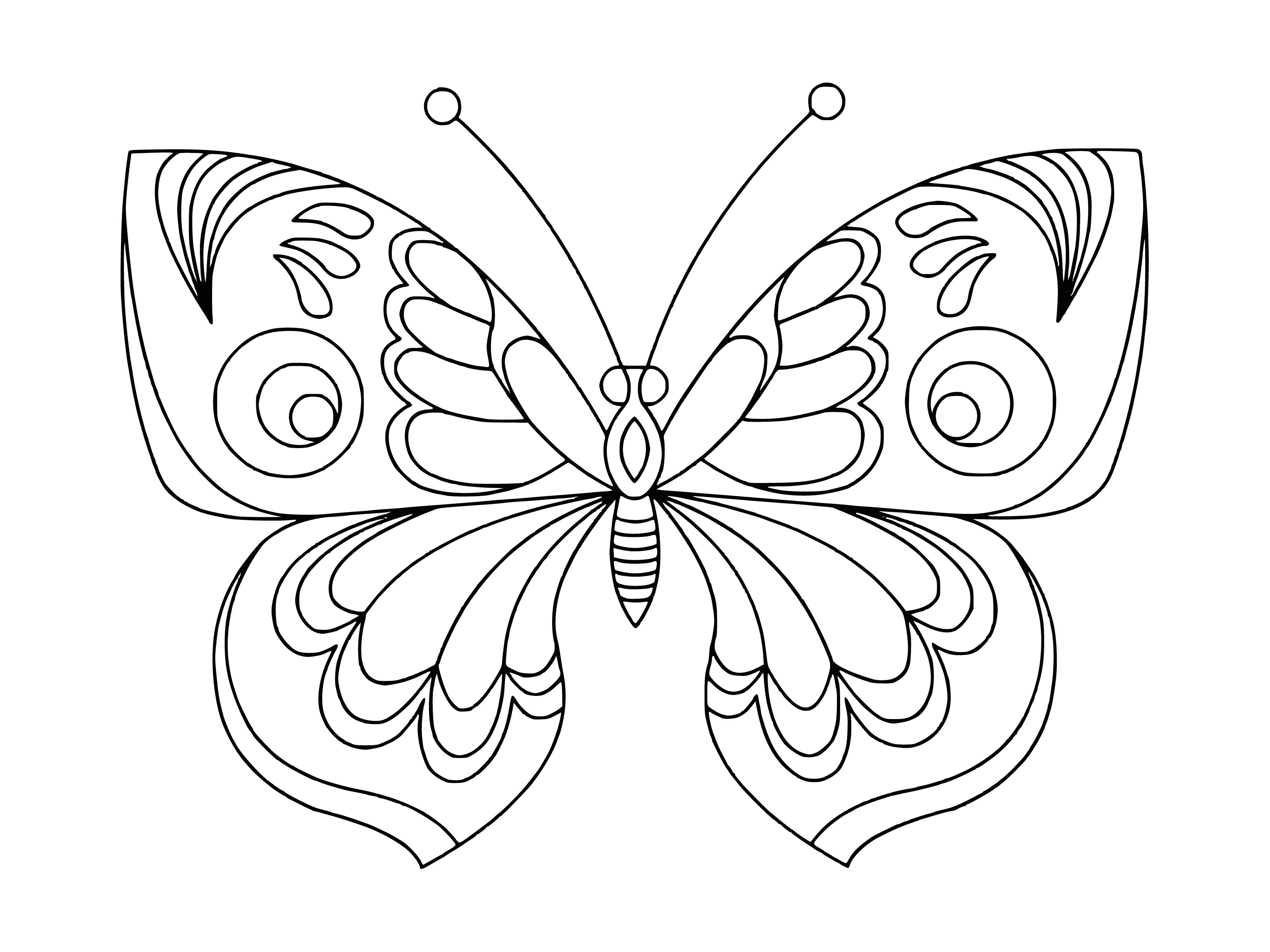 coloring page: Painting of a butterfly for coloring