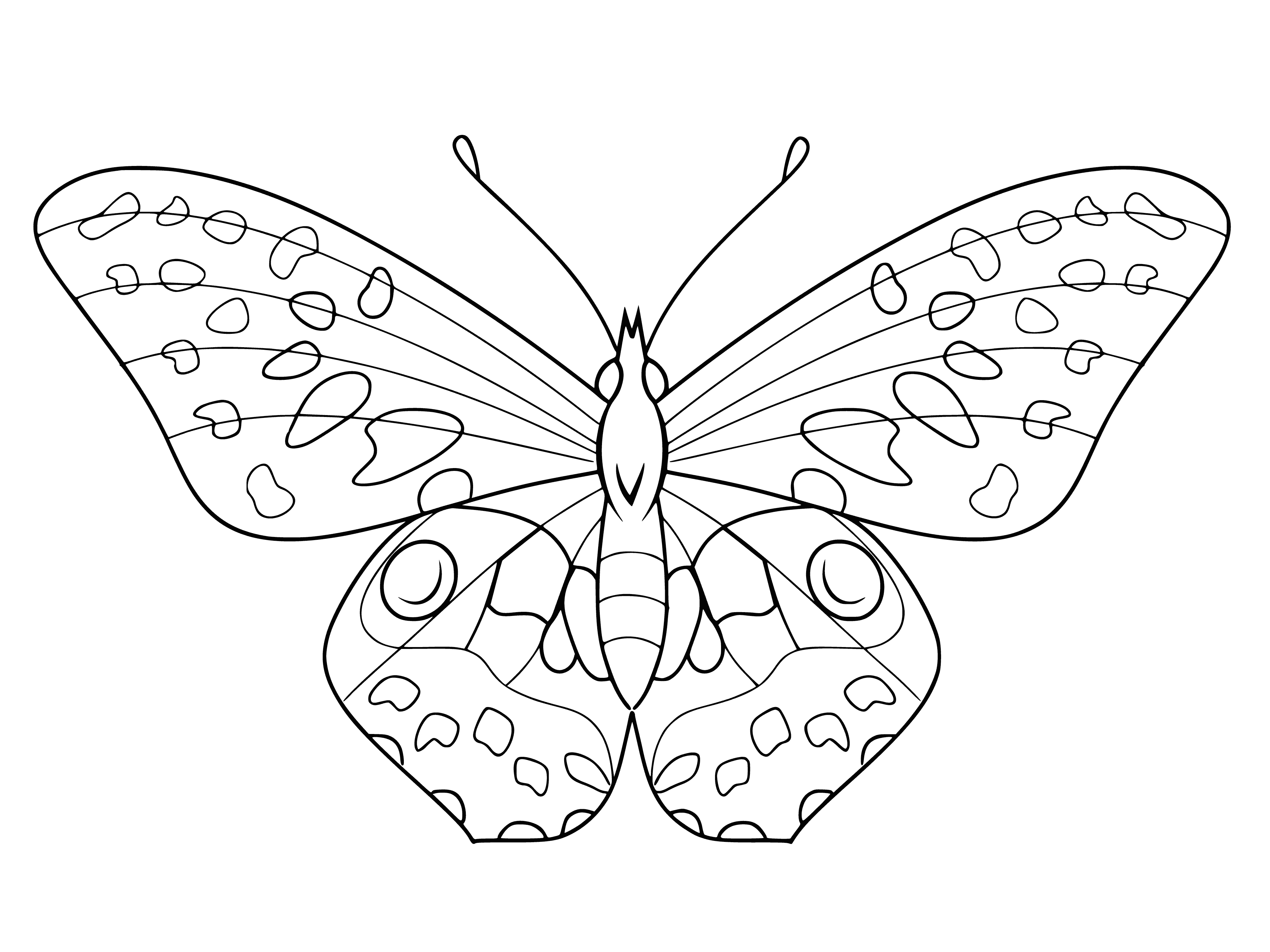 coloring page: Painting of a butterfly for coloring