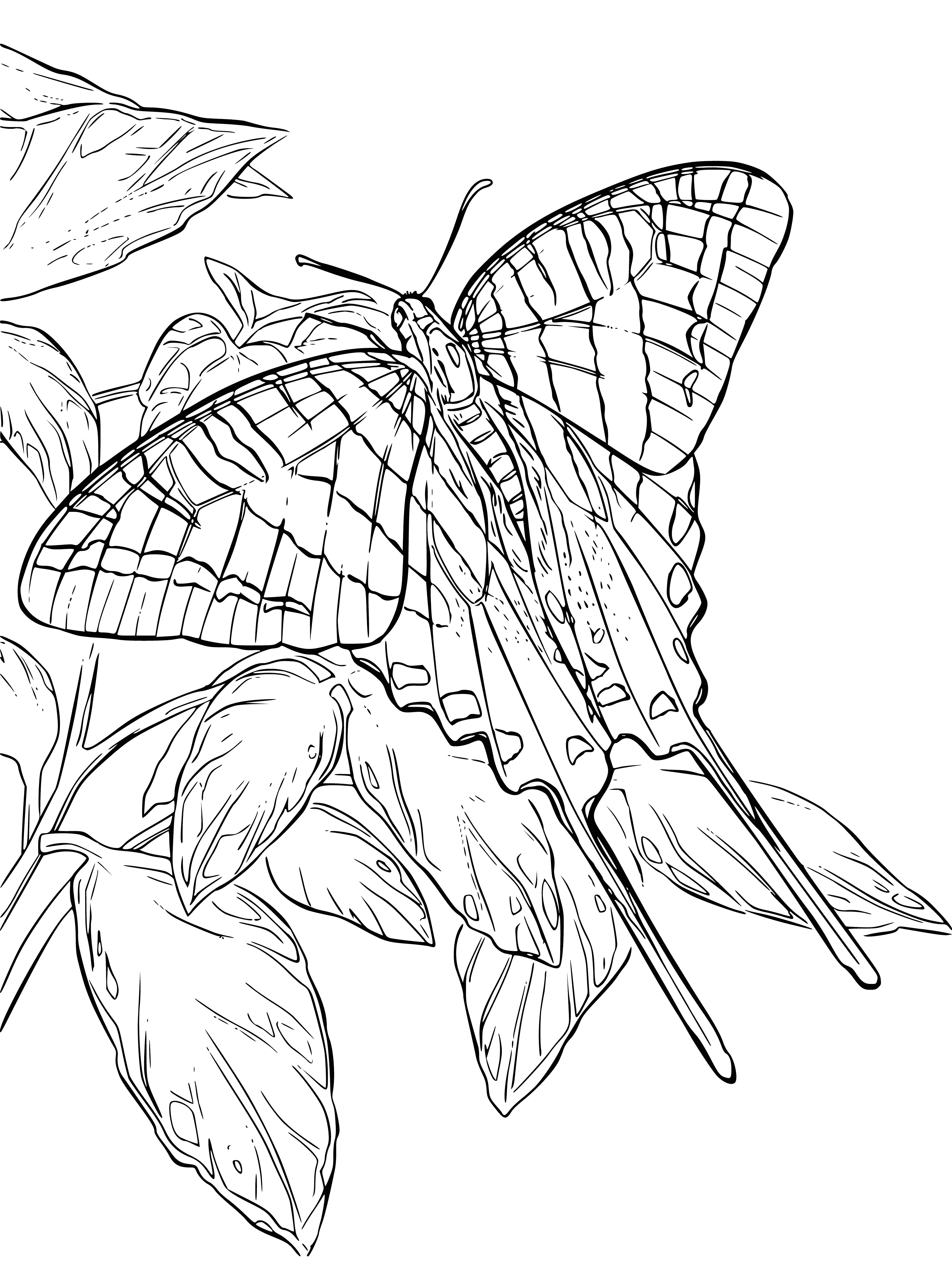 coloring page: Painting of a butterfly on leaves