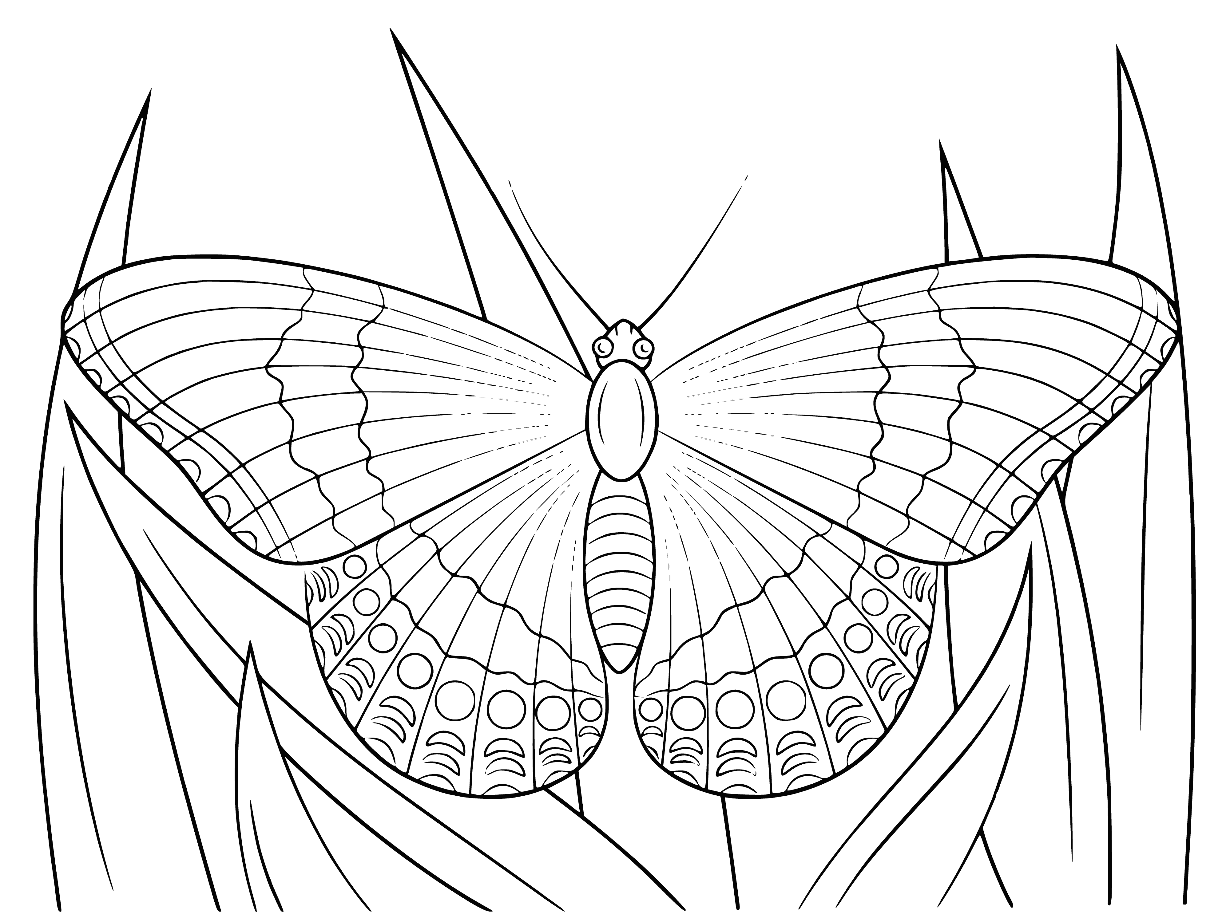 coloring page: A drawing of a butterfly sitting in the grass