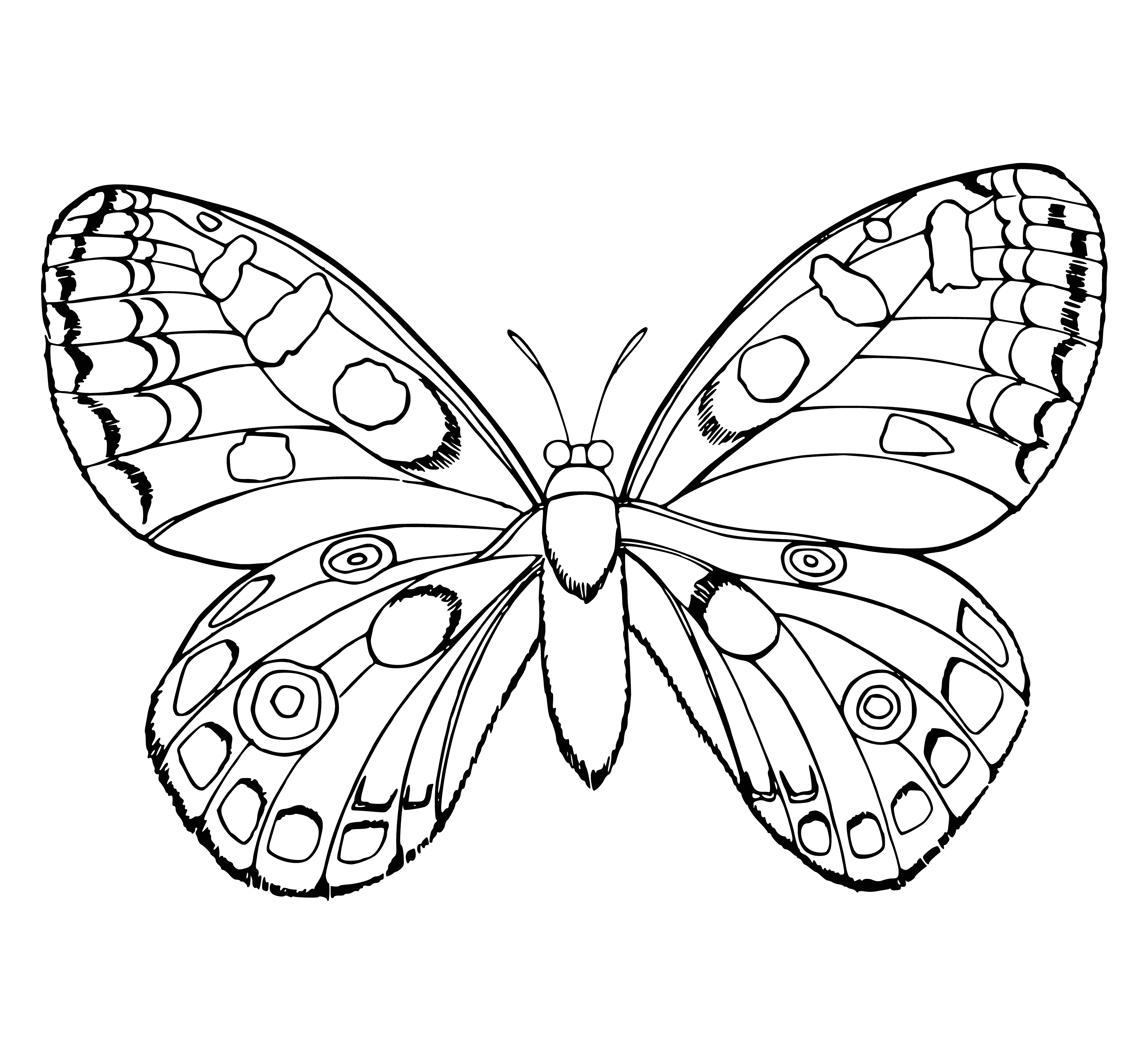 coloring page: Black and white butterfly coloring