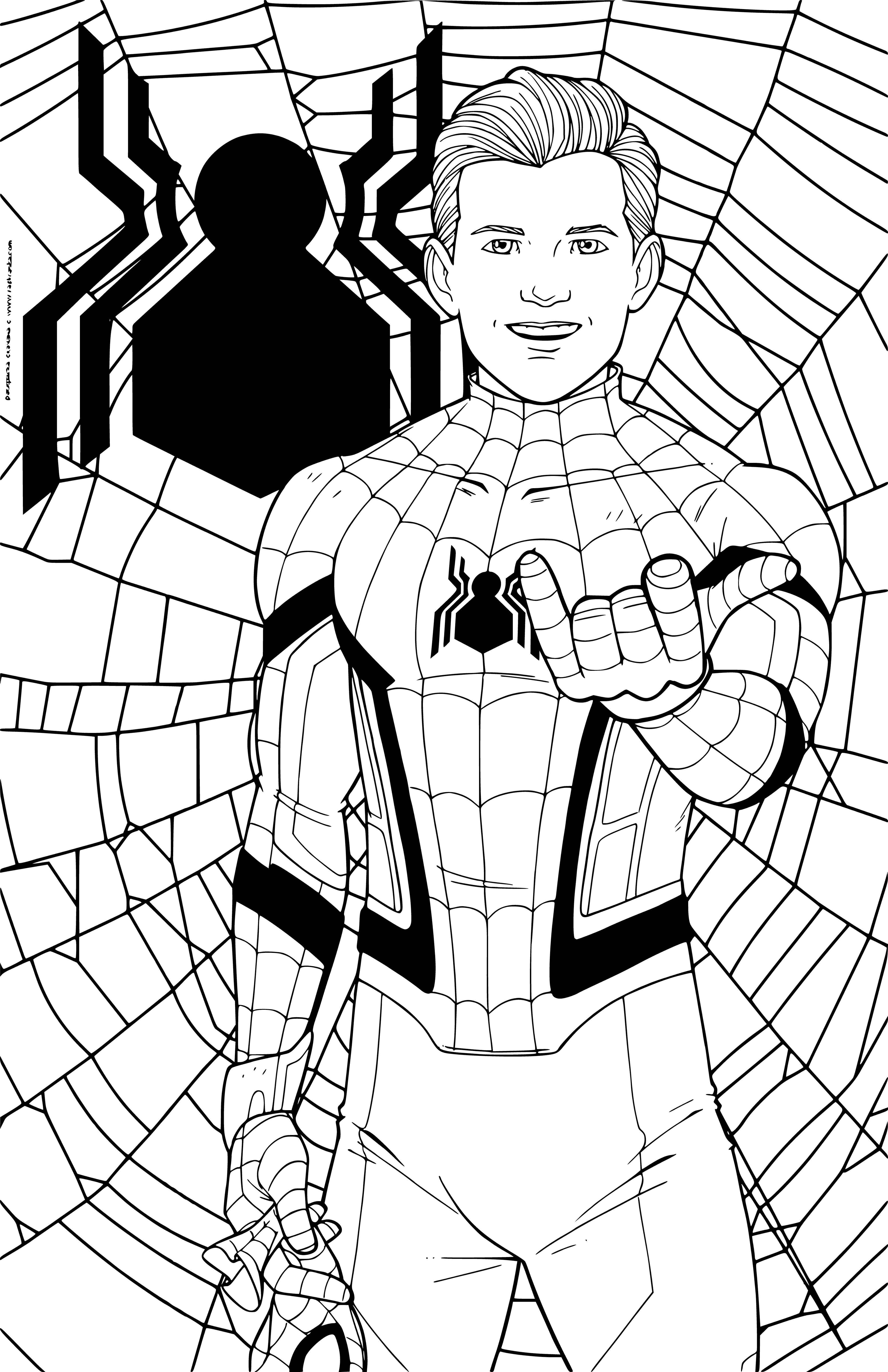 coloriage: Coloration Spider-Man dans le Web