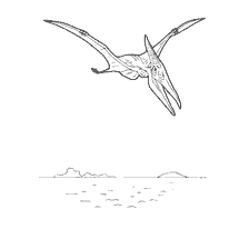 coloring page: Coloring picture of pteranodon flying over water.