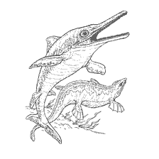coloring page: Ichthyosaurus and Pliosaurus in the Marine Environment