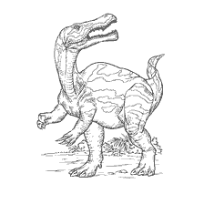 coloring page: Coloring of a dinosaur with a characteristic pattern on the skin