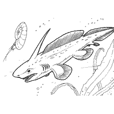 coloring page: Coloring Dinosaur Pleuracant Swimming Among Sea Creatures
