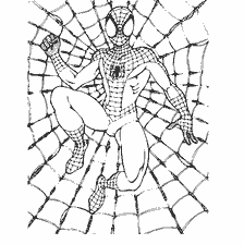 pagina da colorare: Spider-Man seduto in un web