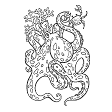 pagina da colorare: Colorazione: Octopus e la piccola sirena Crab