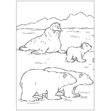 pagina da colorare: Colorante orso polare Lars con tricheco e orsi
