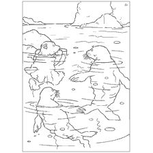pagina da colorare: Colorazione con orso polare Lars e guarnizioni in acqua