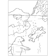 pagina da colorare: Avventure di orso polare Lars: orso cubo e sigillo sullo sfondo dei ghiacciai