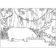 pagina da colorare: Colorare con un orso polare Lars e un ippopotamo sullo sfondo di una foresta tropicale