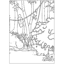 pagina da colorare: Lars, un orso polare, incontra un ippopotamo nella foresta pluviale.