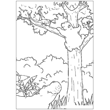 pagina da colorare: Colorare con l'immagine di un orso polare Lars e un camaleonte su un albero.