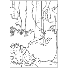 pagina da colorare: Immagine colorante con un orso polare Lars su una liana nel mezzo della foresta