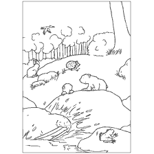pagina da colorare: Colorazione con orso polare, procione, riccio, volpe e uccello