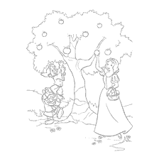pagina da colorare: Biancaneve e nani Raccogliere mele sotto un albero