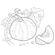 coloring page: Pumpkin coloring with leaves and lobes