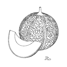 coloring page: Cucumber and melon for coloring