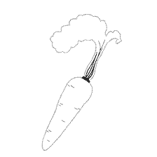 coloring page: Contour coloring of carrots for children