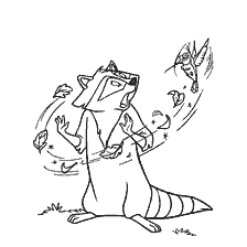 coloriage: Raccoon Miko, tracé du livre de coloriage