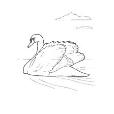 coloring page: Swan on smooth water with clouds in the background