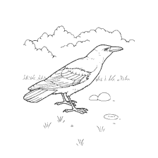 coloring page: A crow on a coloring book