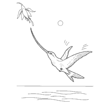 coloring page: Drawing a hummingbird trying to get nectar from a flower