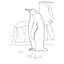 coloring page: Painting penguin