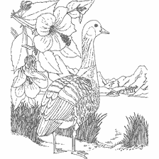 coloring page: Goose amid flowers and landscape