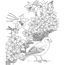 coloring page: Coloring with the image of a bird of oatmeal and flowers