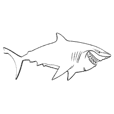 pagina da colorare: Shark Bruce dal cartone animato Trovare Nemo