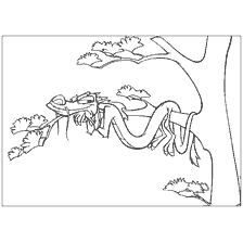 coloriage: Mushu repose sur une branche d'arbre.