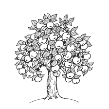 pagina da colorare: Albero di mela con frutta e foglie, realizzato in stile bianco e nero per la colorazione.