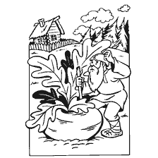 pagina da colorare: Illustrazione per la fiaba &egrave; cresciuta rapa. Il vecchio sta tirando una rapa.