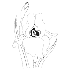 coloring page: Painting of irises