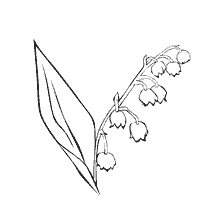 coloring page: Lilyfish are flowers for coloring.
