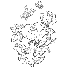 coloring page: Drawing for coloring with roses and butterflies