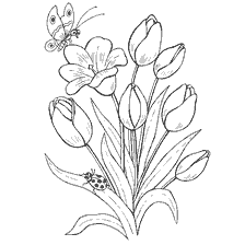 coloring page: Coloring tulips with a butterfly and a ladybug