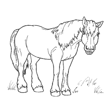 coloring page: Painting horse
