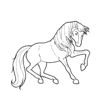 coloring page: Horse coloring, image with contour