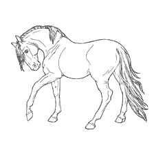 coloring page: A horse in a coloring book for children