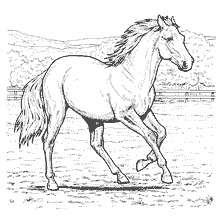 coloring page: Coloring depicting a horse running across a field