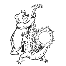 pagina da colorare: Bear tira un coccodrillo che tiene il sole