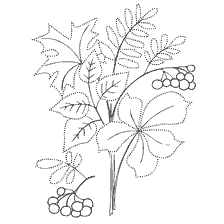 раскраска: Раскраска осеннего букета с листьями и ягодами