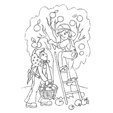 раскраска: Дети собирают яблоки с деревьев во время осени