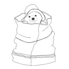 pagina da colorare: Paddington Nascondi in una borsa